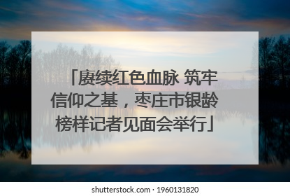 赓续红色血脉 筑牢信仰之基，枣庄市银龄榜样记者见面会举行