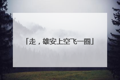 走，雄安上空飞一圈
