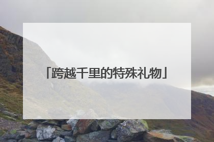 跨越千里的特殊礼物