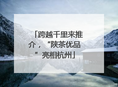 跨越千里来推介，“陕茶优品”亮相杭州