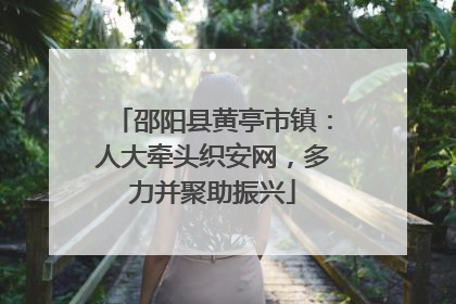 邵阳县黄亭市镇：人大牵头织安网，多力并聚助振兴