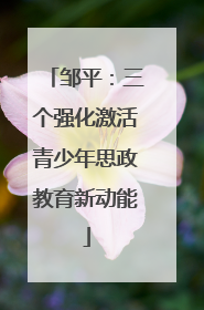 邹平：三个强化激活青少年思政教育新动能