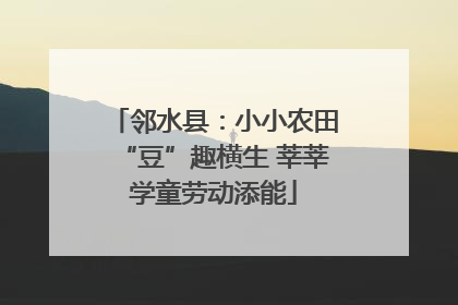邻水县：小小农田“豆”趣横生 莘莘学童劳动添能