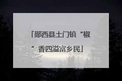 郧西县土门镇“椒”香四溢富乡民