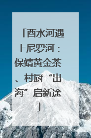 酉水河遇上尼罗河：保靖黄金茶、村厨“出海”启新途