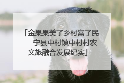 金果果美了乡村富了民——宁县中村镇中村村农文旅融合发展纪实