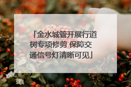 金水城管开展行道树专项修剪 保障交通信号灯清晰可见