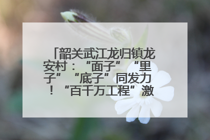 韶关武江龙归镇龙安村：“面子”“里子”“底子”同发力！“百千万工程”激活乡村新动能