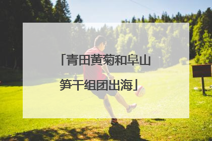 青田黄菊和阜山笋干组团出海