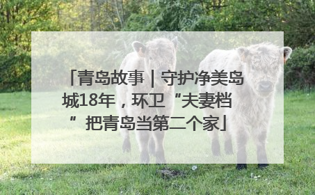 青岛故事｜守护净美岛城18年，环卫“夫妻档”把青岛当第二个家