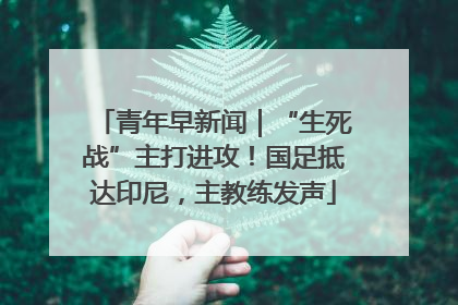 青年早新闻｜“生死战”主打进攻！国足抵达印尼，主教练发声
