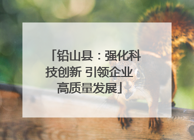 铅山县：强化科技创新 引领企业高质量发展