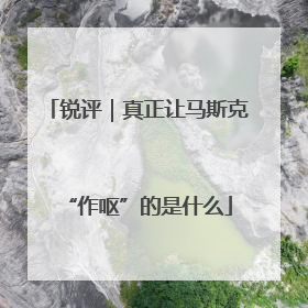 锐评｜真正让马斯克“作呕”的是什么