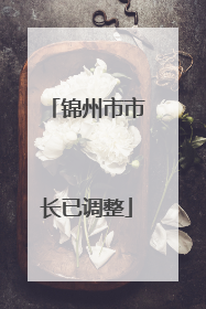 锦州市市长已调整