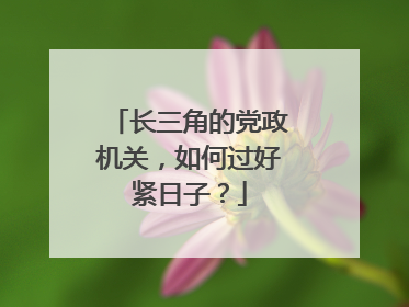 长三角的党政机关，如何过好紧日子？