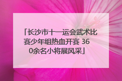 长沙市十一运会武术比赛少年组热血开赛 360余名小将展风采