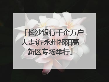 长沙银行千企万户大走访·永州祁阳高新区专场举行