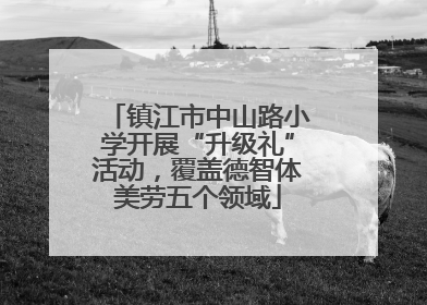 镇江市中山路小学开展“升级礼”活动，覆盖德智体美劳五个领域