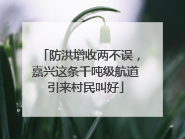 防洪增收两不误，嘉兴这条千吨级航道引来村民叫好