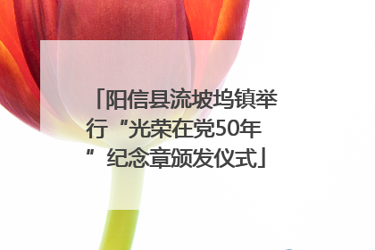 阳信县流坡坞镇举行“光荣在党50年”纪念章颁发仪式