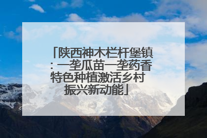 陕西神木栏杆堡镇：一垄瓜苗一垄药香 特色种植激活乡村振兴新动能
