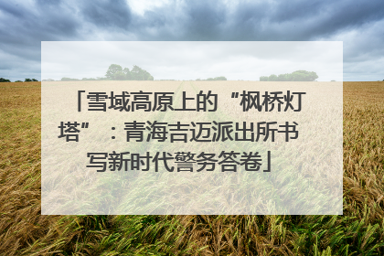 雪域高原上的“枫桥灯塔”：青海吉迈派出所书写新时代警务答卷