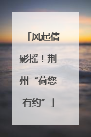风起倩影摇！荆州“荷您有约”