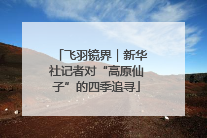 飞羽镜界｜新华社记者对“高原仙子”的四季追寻
