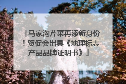 马家沟芹菜再添新身份！贸促会出具《地理标志产品品牌证明书》