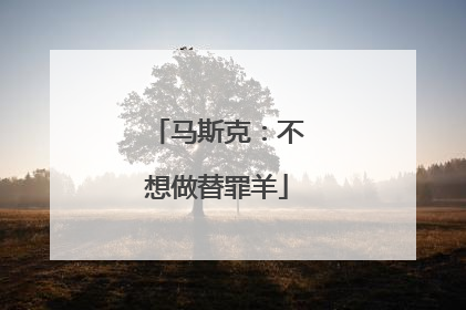 马斯克：不想做替罪羊