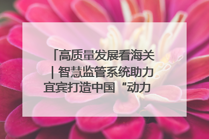 高质量发展看海关｜智慧监管系统助力宜宾打造中国“动力电池之都”