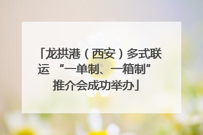 龙拱港（西安）多式联运 “一单制、一箱制” 推介会成功举办