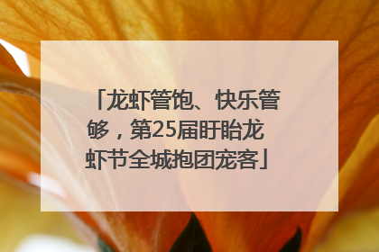 龙虾管饱、快乐管够，第25届盱眙龙虾节全城抱团宠客