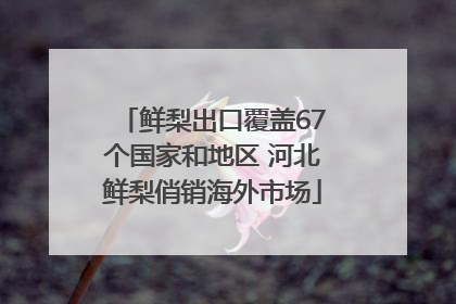 鲜梨出口覆盖67个国家和地区 河北鲜梨俏销海外市场