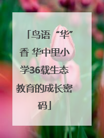 鸟语“华”香 华中里小学36载生态教育的成长密码