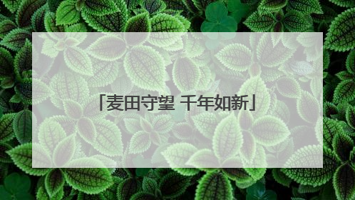 麦田守望 千年如新