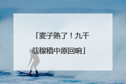 麦子熟了！九千载稼穑中原回响