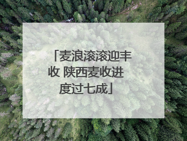 麦浪滚滚迎丰收 陕西麦收进度过七成