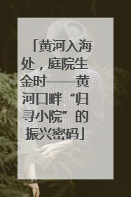 黄河入海处，庭院生金时——黄河口畔“归寻小院”的振兴密码