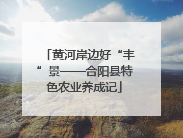黄河岸边好“丰”景——合阳县特色农业养成记