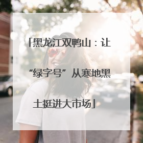 黑龙江双鸭山：让“绿字号”从寒地黑土挺进大市场