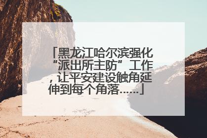 黑龙江哈尔滨强化“派出所主防”工作，让平安建设触角延伸到每个角落……