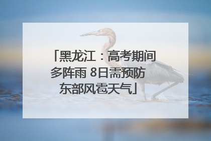 黑龙江：高考期间多阵雨 8日需预防东部风雹天气