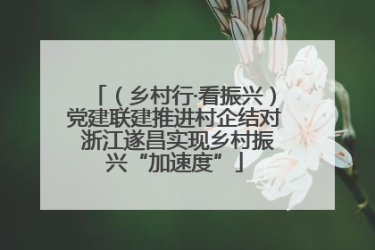 （乡村行·看振兴）党建联建推进村企结对 浙江遂昌实现乡村振兴“加速度”