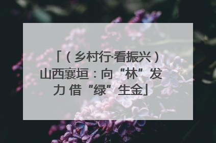 （乡村行·看振兴）山西襄垣：向“林”发力 借“绿”生金