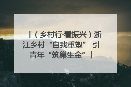（乡村行·看振兴）浙江乡村“自我重塑” 引青年“筑巢生金”