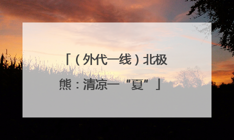 （外代一线）北极熊：清凉一“夏”