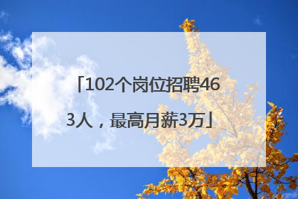 102个岗位招聘463人，最高月薪3万
