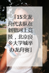 15支龙舟代表队在刺猬河上竞技，北京良乡大学城举办龙舟赛