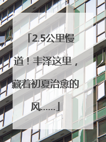 2.5公里慢道！丰泽这里，藏着初夏治愈的风……